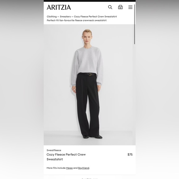 Aritzia Sweatfleece Perfect Crewneck in Heather Chrome - Picture 2 of 4